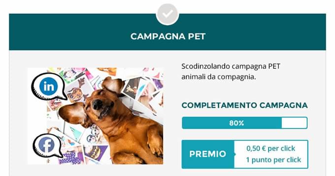 voicr coinvolgimento